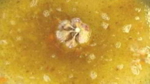 плов без мяса