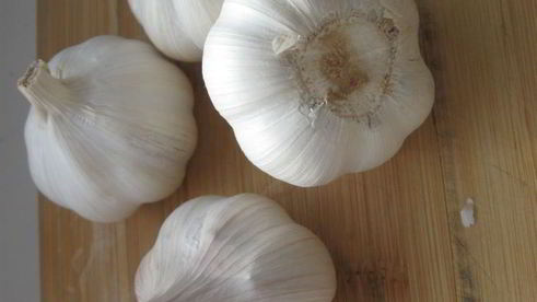 плов друг семьи