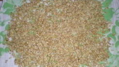 плов из перловки с мясом