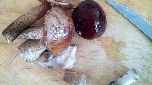 тыквенные галушки с грибным рагу