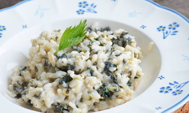 Рецепт ризотто с крапивой и козьим сыром
