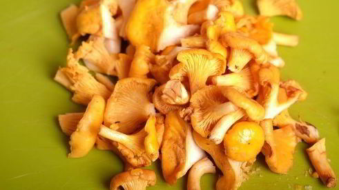 ризотто с лисичками