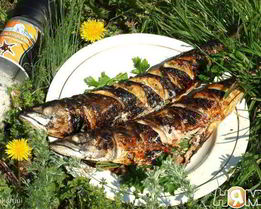 Скумбрия запеченная на мангале с лимоном