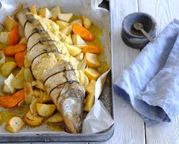 Судак Радзивилл