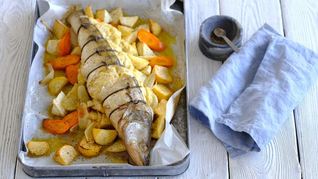 Судак Радзивилл