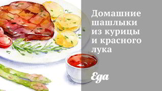 Домашние шашлыки из курицы и красного лука