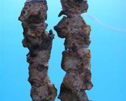 Шашлык из говядины с лаймом