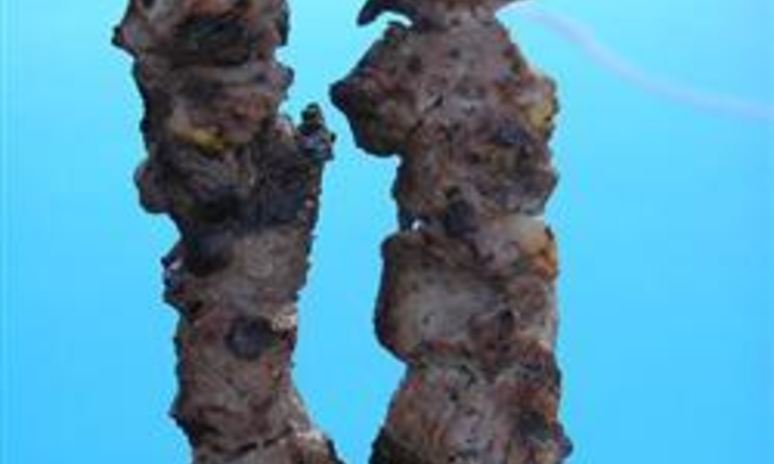 Рецепт шашлыка из говядины с лаймом