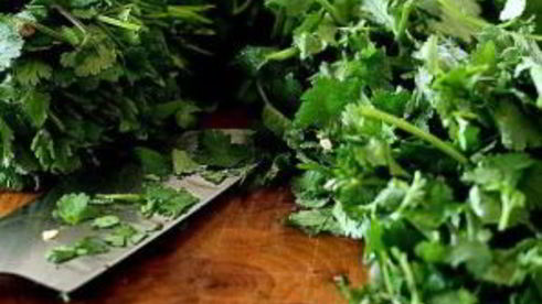 шашлык из креветок с семечками тыквы