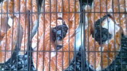 шашлык из семги на решетке