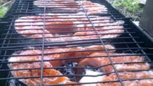 шашлык из семги на решетке