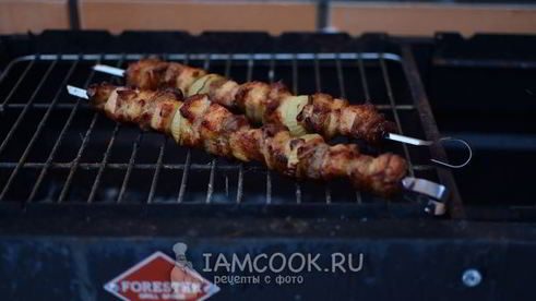 шашлык из свиной грудинки