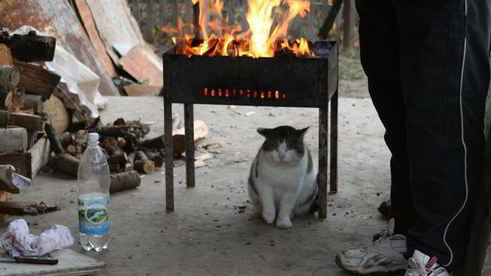 шашлык ответы на вопросы