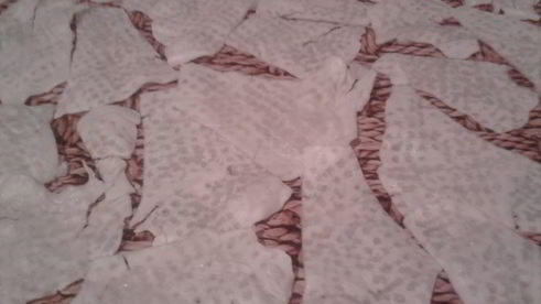 капустный шницель