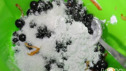 вареники с черной смородиной и яблоками