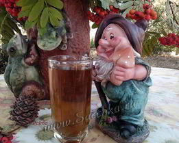 Чай из иван-чая