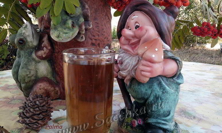 Рецепт чая из иван-чая