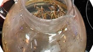 Чай Молочный улун