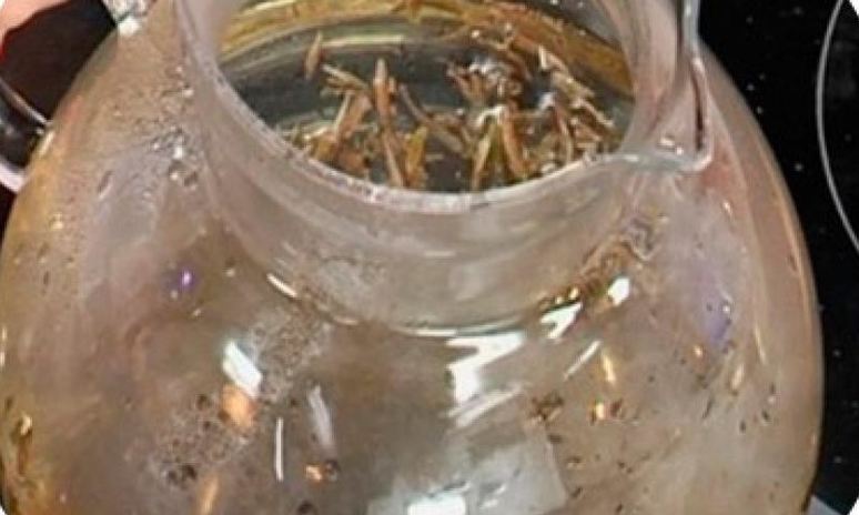 Рецепт чая молочного улун