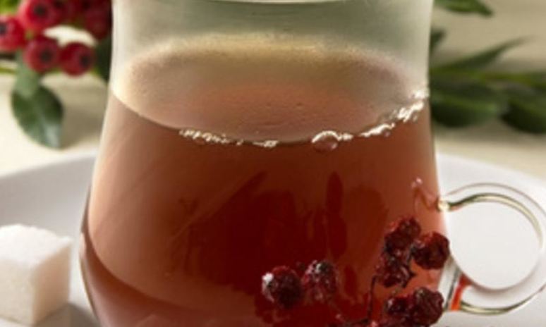 Рецепт чая рябинового