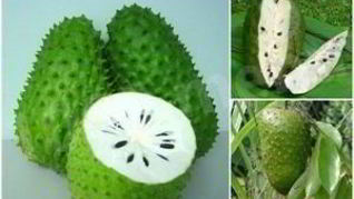 Чай с саусепом