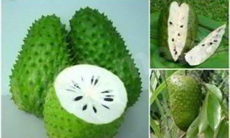 Рецепт чая с саусепом