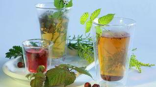 Чай с шиповником и крапивой