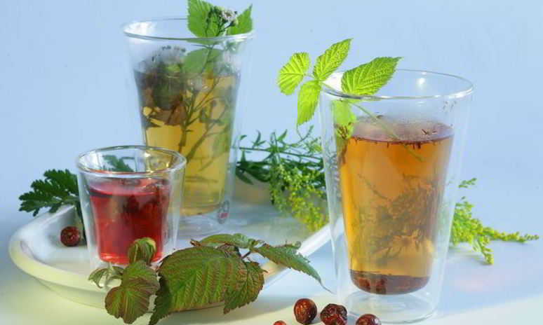 Рецепт чая с шиповником и крапивой