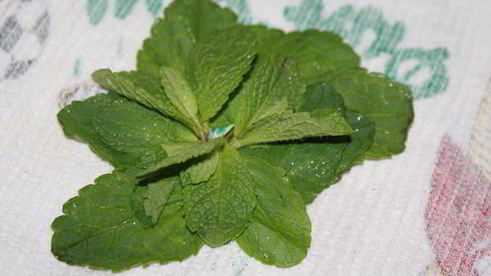 марокканский мятный чай