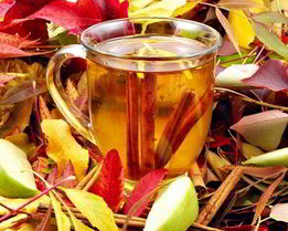 Яблочный чай с корицей и гвоздикой