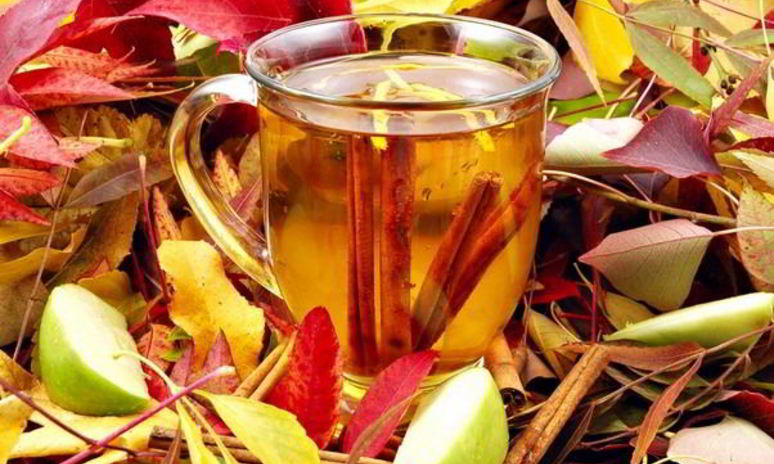 Рецепт яблочного чая с корицей и гвоздикой