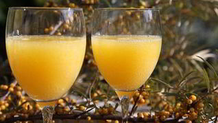 Домашнее вино из облепихи