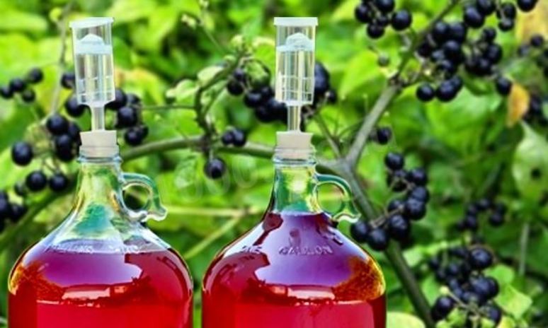 Рецепт домашнего вина из санберри