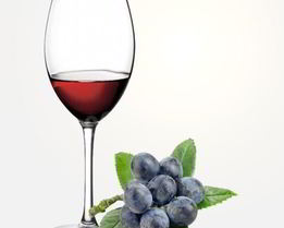 Домашнее вино из терновника