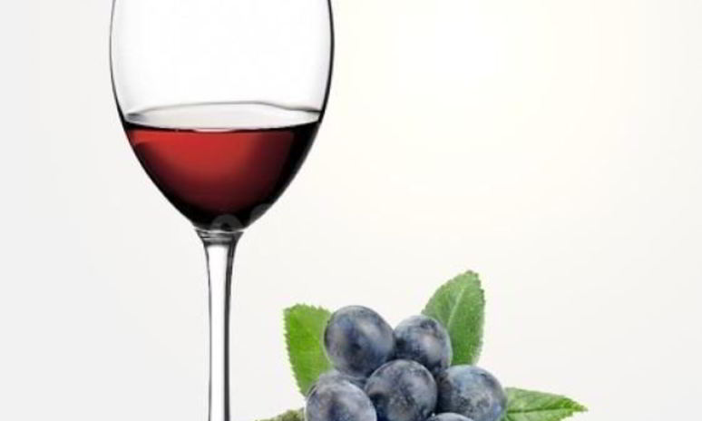 Рецепт домашнего вина из терновника