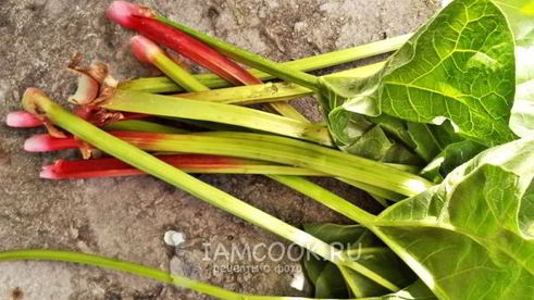 кисель из ревеня