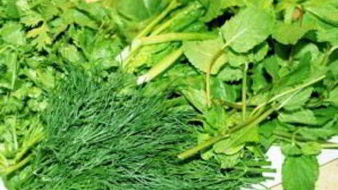 коктейль из зелени