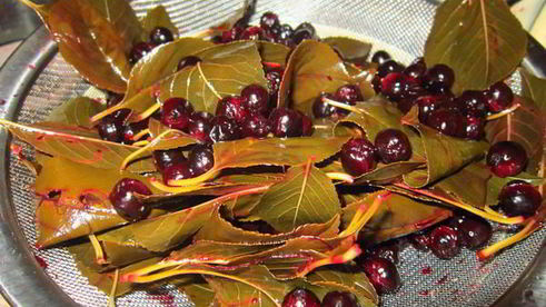 ликер вишневый