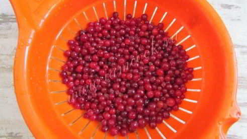 брусничный морс