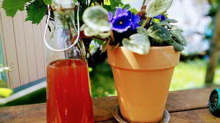 Ревеневый сироп