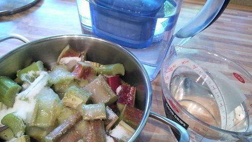 ревеневый сироп