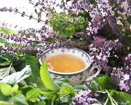 Сироп шалфея