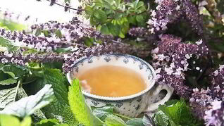 Сироп шалфея