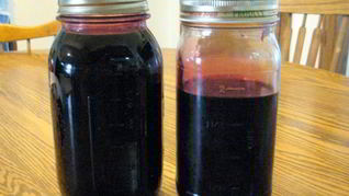 Сироп шелковицы