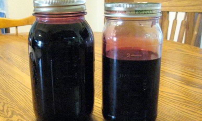 Рецепт сиропа шелковицы