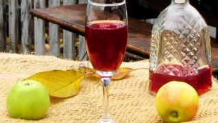 Вино из алычи простое домашнее