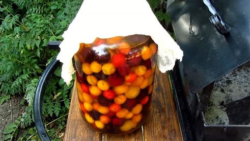 вино из алычи простое домашнее