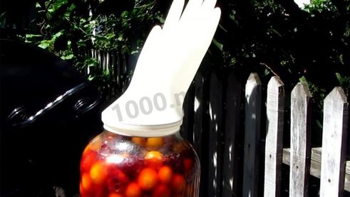 вино из алычи простое домашнее