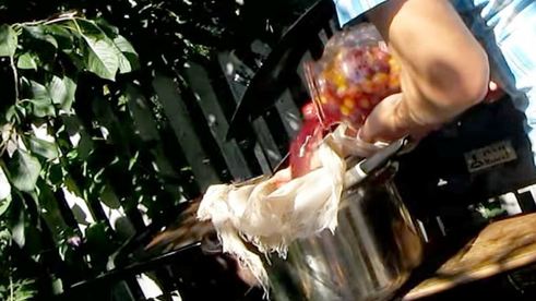 вино из алычи простое домашнее