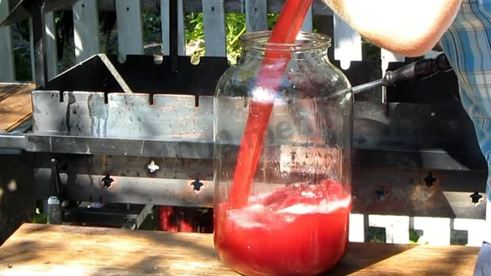 вино из алычи простое домашнее